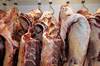 Foto principal del artículo 'La carne con peores condiciones de acceso a mercados para 2021' · Foto: Ricardo Antúnez, adhocFOTOS Foto principal del artículo 'La carne con peores condiciones de acceso a mercados para 2021' · Foto: Ricardo Antúnez, adhocFOTOS