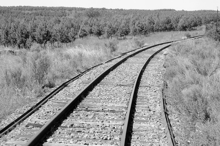 Tramo de vía férrea en el departamento de Tacuarembó. Foto: Sandro Pereyra (archivo, enero de 2010)