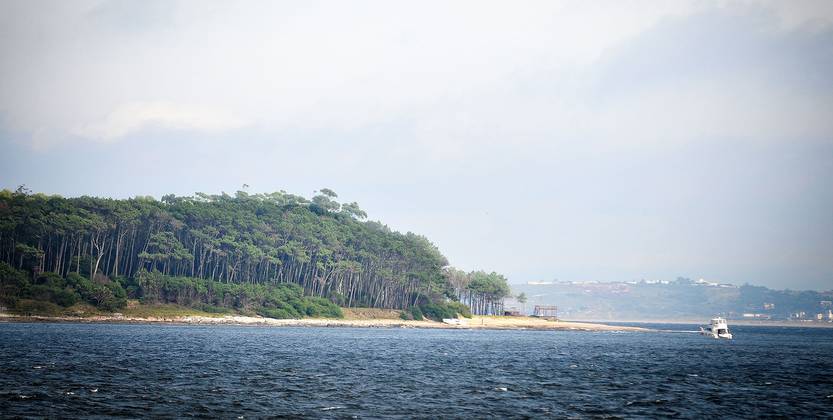 isla de gorriti 20100208JC_1049