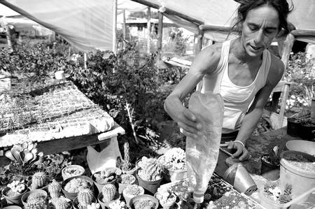 Foto principal del artículo 'Lugar del maíz' · Foto: Javier Calvelo Foto principal del artículo 'Lugar del maíz' · Foto: Javier Calvelo