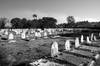 Cementerio del Norte, límite sobre el arroyo Miguelete. Años atrás esta zona se inundaba cuando el arroyo crecía. Montevideo, 2010. · Foto: Ricardo Antúnez Cementerio del Norte, límite sobre el arroyo Miguelete. Años atrás esta zona se inundaba cuando el arroyo crecía. Montevideo, 2010. · Foto: Ricardo Antúnez