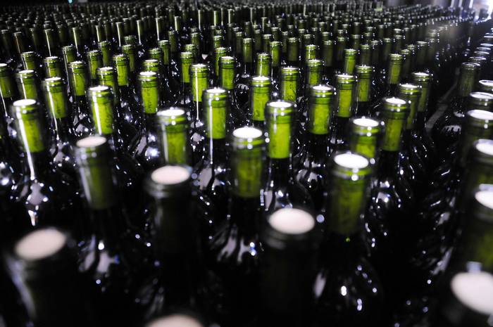 Bodega de vino (archivo, 2011). · Foto: Santiago Mazzarovich, adhocfotos