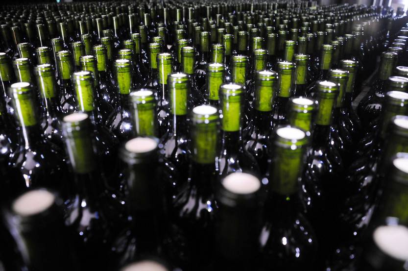 20230707 vino