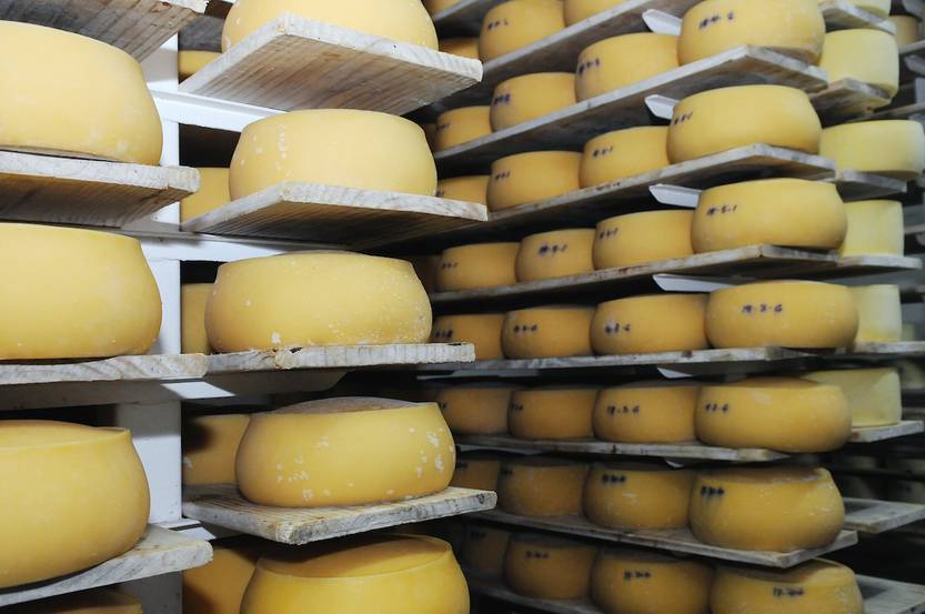 20221102 queso