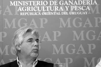 Tabaré Aguerre. Foto: Pablo Vignali (archivo, enero de 2014) Tabaré Aguerre. Foto: Pablo Vignali (archivo, enero de 2014)