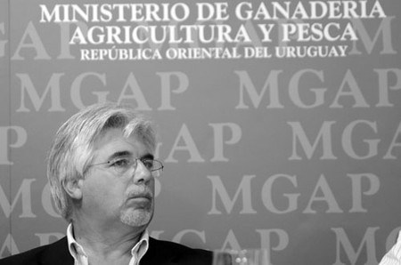 Tabaré Aguerre. Foto: Pablo Vignali (archivo, enero de 2014) Tabaré Aguerre. Foto: Pablo Vignali (archivo, enero de 2014)