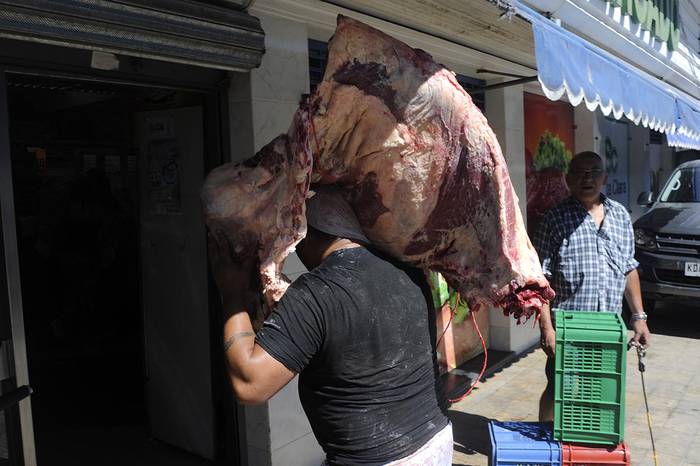 Foto principal del artículo 'Alrededor de 20 trabajadores afectados por explosión de cañería de amoníaco en frigorífico de Tarariras' · Foto: Pablo Nogueira