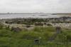 20220428 playa capurro