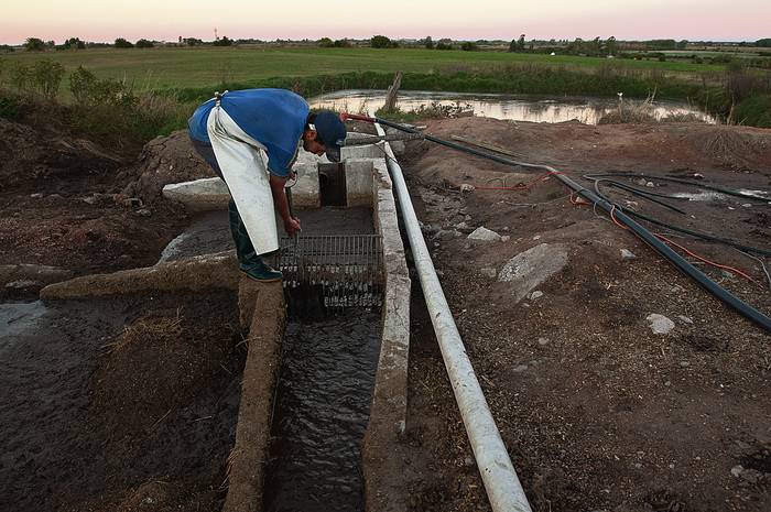 Trabajador en un tambo con sistema de tratamiento de efluentes, próximo a Aguas Corrientes, en el departamento de Canelones. (archivo, abril de 2015) · Foto: Sandro Pereyra