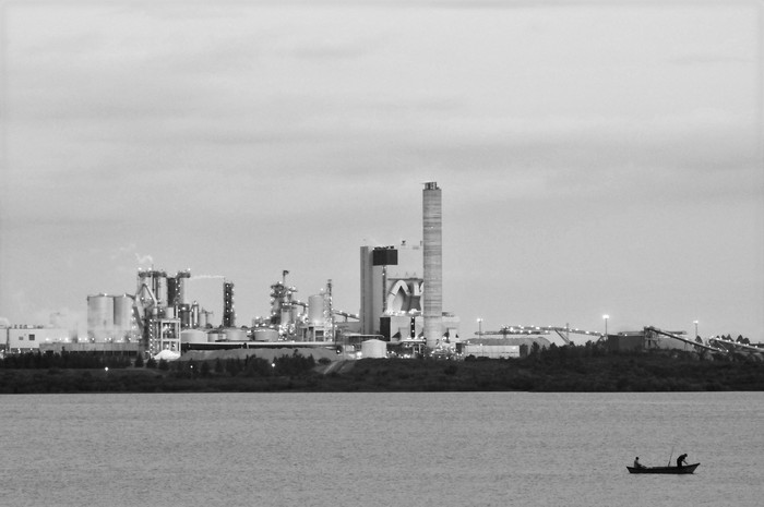 Vista de la planta de UPM desde la Playa Ubici, Fray Bentos. Foto: Federico Gutiérrez (archivo, noviembre de 2016)

