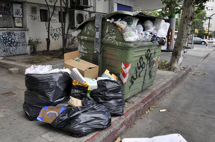 Foto principal del artículo 'Martínez quiere la esencialidad de la recolección de residuos para que no se corte el servicio' · Foto: Pablo Vignali
