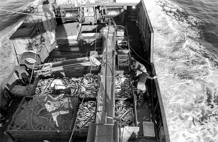 Barco Promopes II, en el Océano Atlántico Sur. foto: iván franco (archivo, setiembre de 1995)