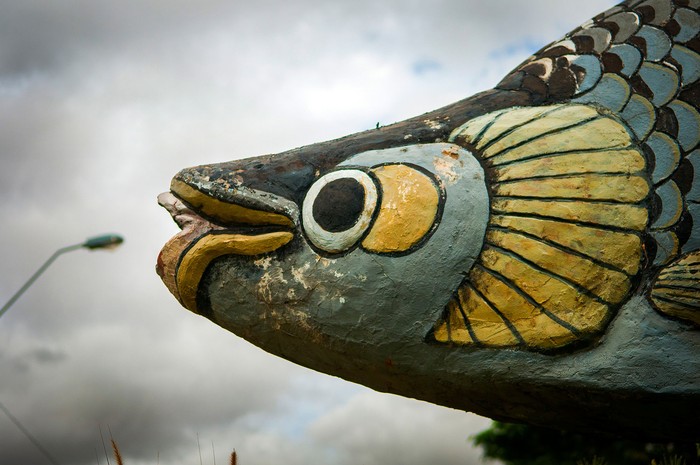 Monumento al sábalo en la entrada a la ciudad de Juan Lacaze, Colonia (archivo, febrero de 2017). Foto: Javier Calvelo / adhocFOTOS