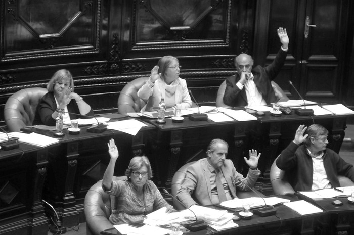 Hoy en la Camara de Senadores. Foto: Federico Gutierrez
