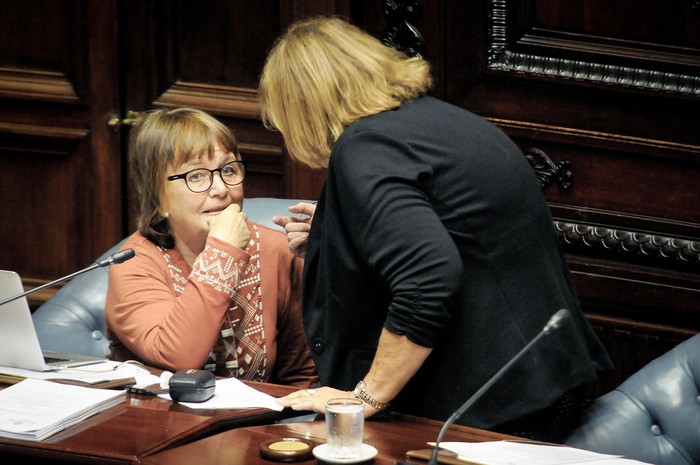 Carmen Beramendi, en la Cámara de Senadores (archivo, abril de 2017). · Foto: Javier Calvelo, adhocFOTOS