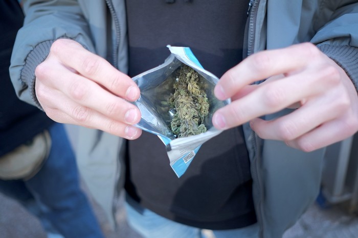 Venta de marihuana en una farmacia de Pocitos (archivo, julio de 2017) · Foto: Pablo Vignali