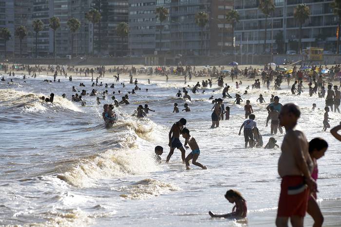 Foto principal del artículo 'Un hombre falleció por infectarse con la bacteria Vibrio vulnificus luego de bañarse en la playa' · Foto: Andrés Cuenca