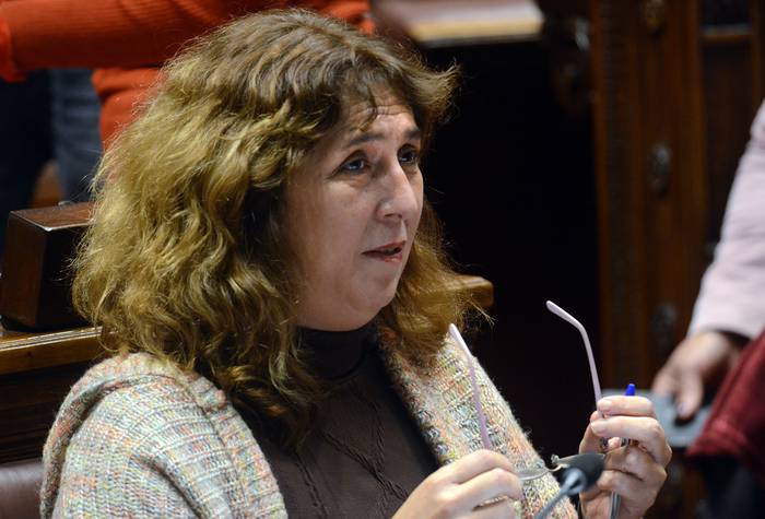 Cecilia Bottino, ayer, durante la sesión de la Cámara de Diputados. · Foto: Pablo Vignali