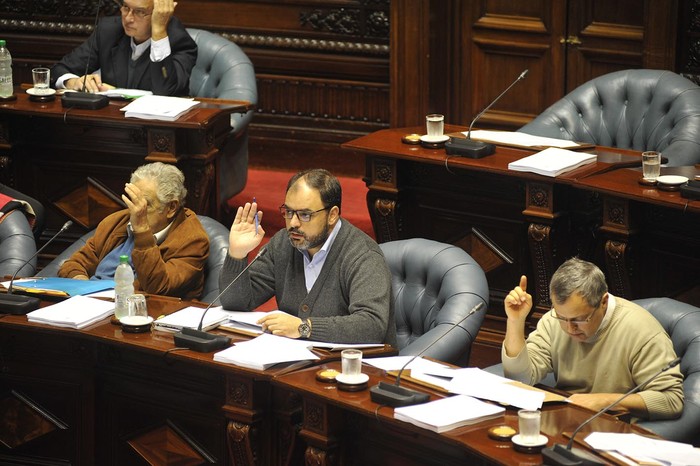 Sesión del Senado que aprobo el proyecto de ley de enajenación de casas vacías y baldíos urbanos./ Foto : Federico Gutierrez
 · Foto: Federico Gutiérrez