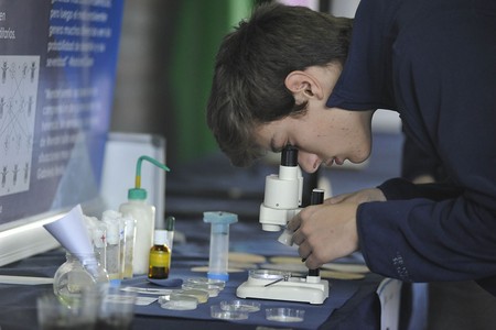 Feria departamental de clubes de ciencia de Montevideo, en la Facultad de Ciencias.
· Foto: Federico Gutiérrez Feria departamental de clubes de ciencia de Montevideo, en la Facultad de Ciencias.
· Foto: Federico Gutiérrez