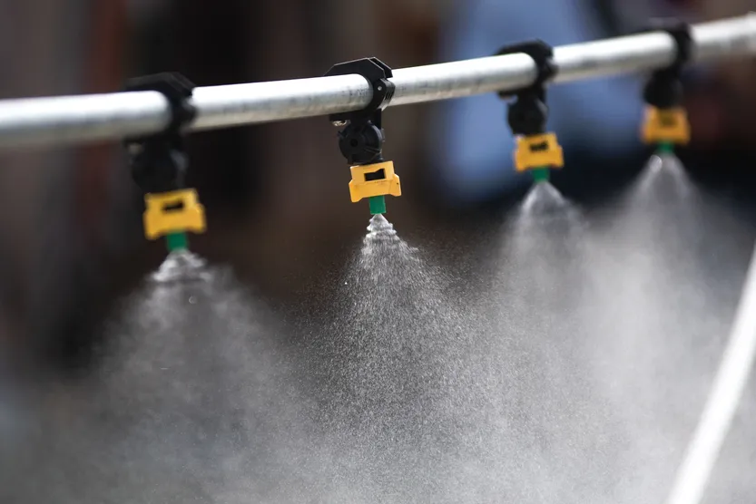 20260320 AGRO Expoactiva P4 F3