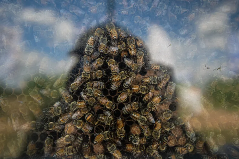 20260320 AGRO Expoactiva P4 F5