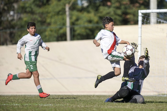 Thiago Laurenzena, de Barrio Obrero, Lucas Leonardo Cunha, de Yerbalito, y Mateo Morono, golero de Yerbalito, en las finales del Campeonato Nacional de Clubes 2019, categoría Cebollas de la Organización Nacional de Fútbol Infantil (ONFI), el domingo 9 de junio de 2019, en el Velódromo Municipal.

 · Foto: Fernando Morán