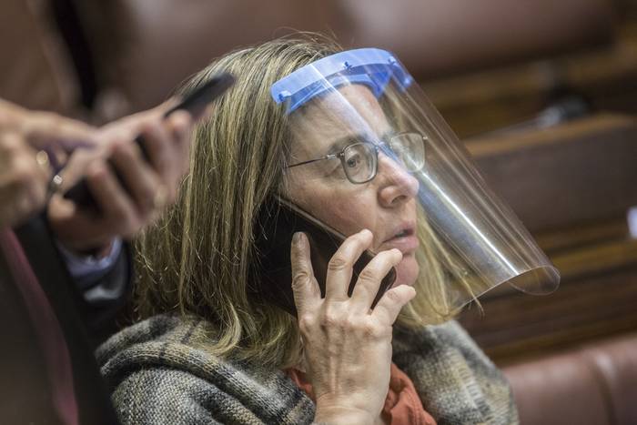 Nibia Reisch, 12 de octubre, durante una sesión en la Cámara de Diputados. · Foto: .