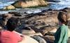 lobos 20200105NC_17