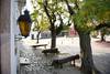20220726 Colonia