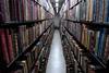 20220614 biblioteca