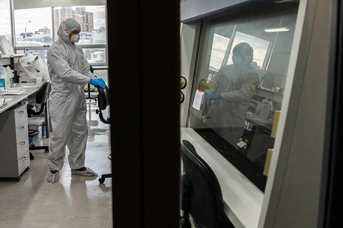 Laboratorio del Instituto Pasteur de Montevideo, realizando test de coronavirus - Covid 19 (archivo, junio de 2020). · Foto:  Pedro Zafrón, adhocFOTOS