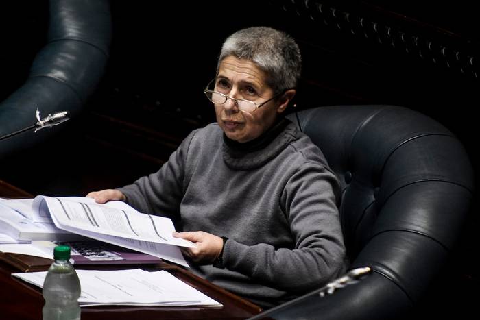 Amanda Della Ventura, durante una sesión de la Cámara de Senadores (archivo, julio de 2020). · Foto: Javier Calvelo, adhocFOTOS