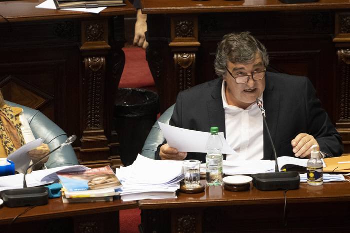 Sergio Botana, en el senado, el 22 de julio · Foto: Mariana Greif