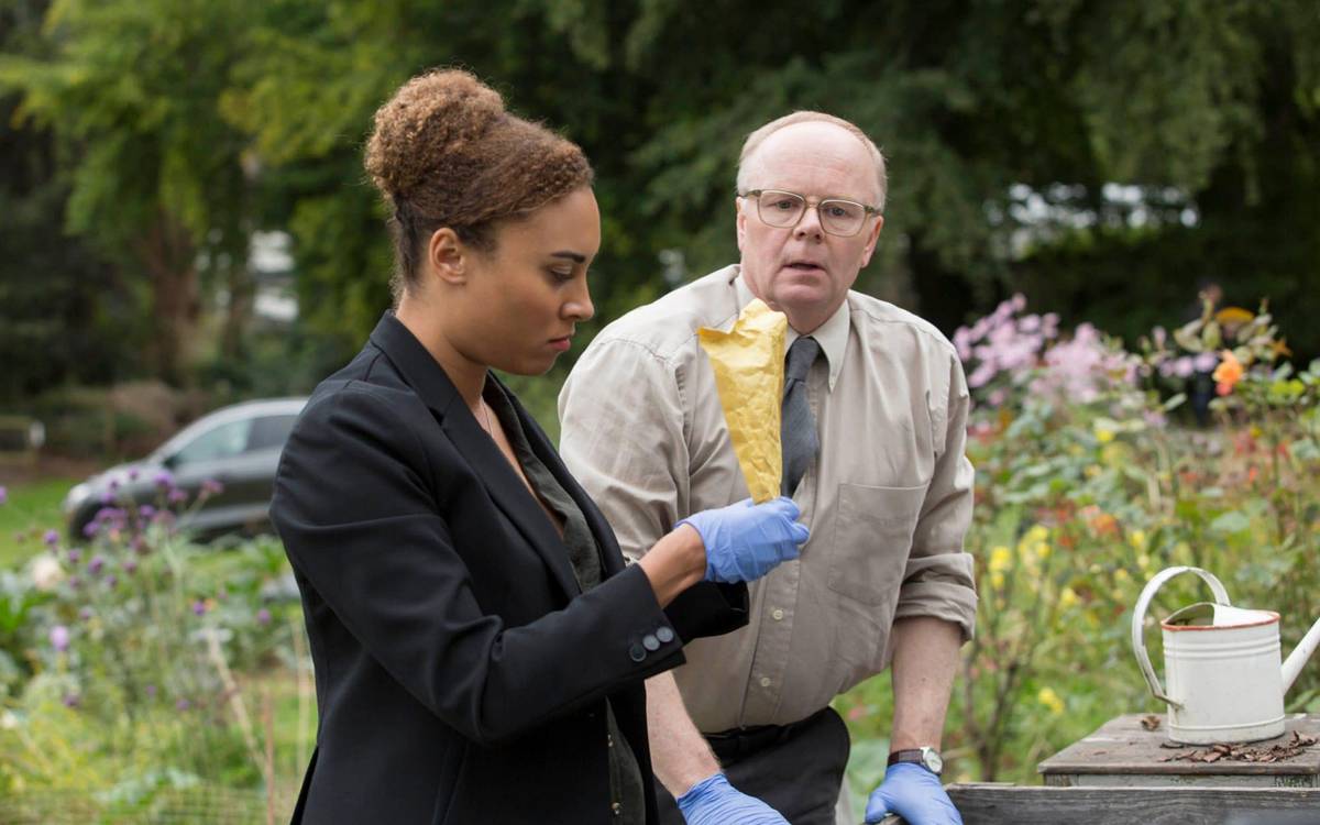 McDonald & Dodds, the new couple of uneven detectives of television |  the daily