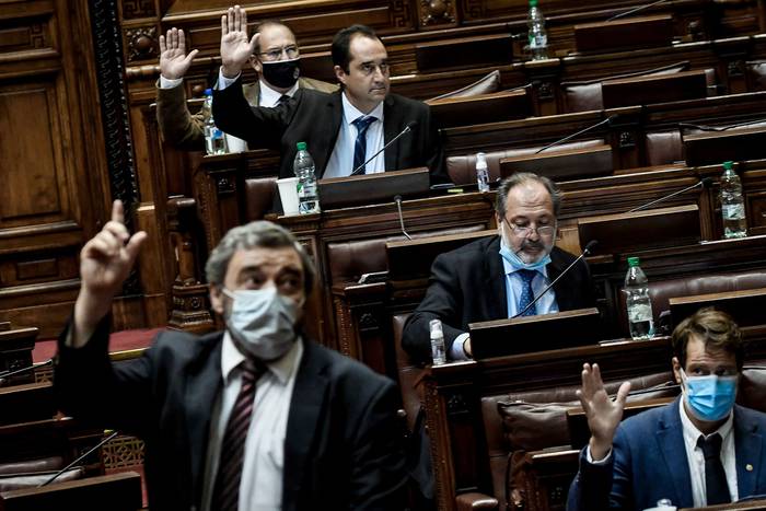 Cámara de Senadores, durante una votación (archivo, marzo de 2021). · Foto: Javier Calvelo, adhocFOTOS