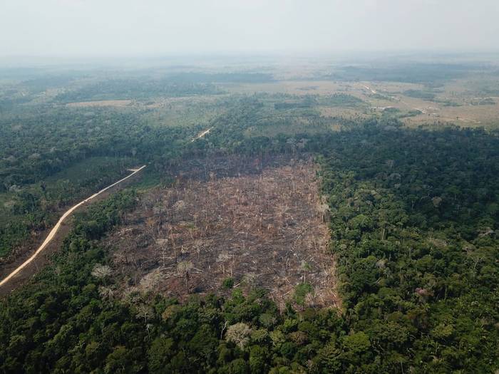 Deforestación de la Amazonia. (archivo, setiembre de 2019) · Foto: Agência Brasil, s/d de autor