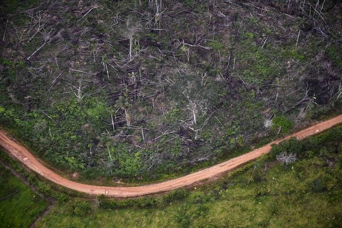 Deforestación de la Amazonía colombiana. (archivo, setiembre de 2020) · Foto: Raúl Arboleda, AFP
