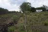 20220112 mambiente p10-11 f3
