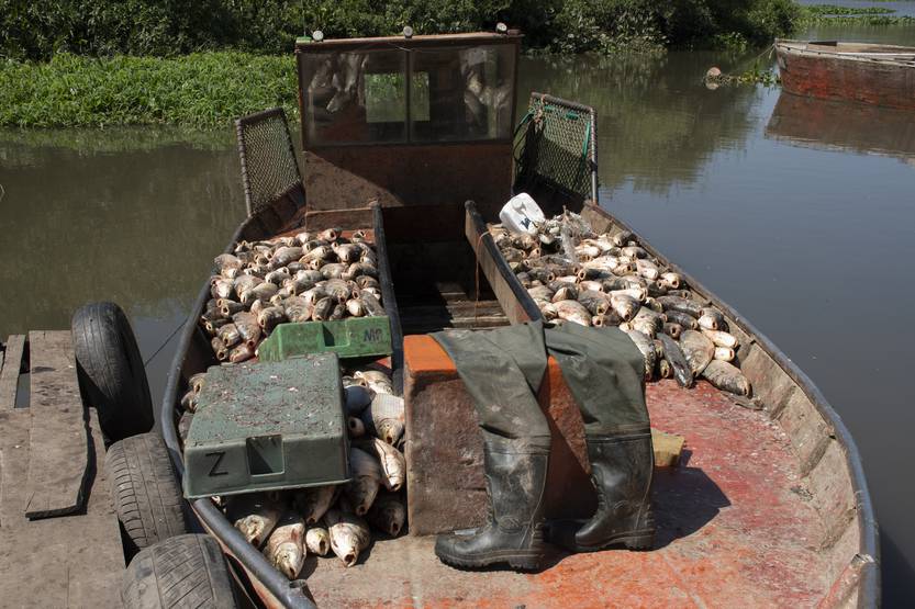 20220120 PESCADORES 2