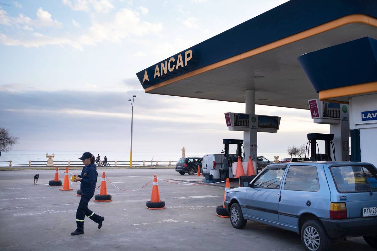 Ante medidas gremiales, presidente de Ancap anunció importación de gasoil para “evitar problemas de stock” | la diaria | Uruguay