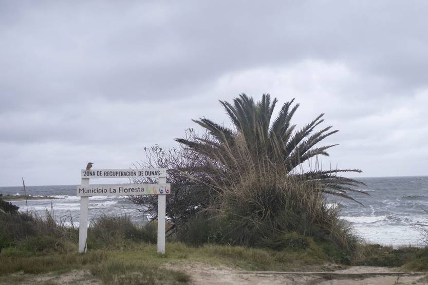 20230316 la floresta