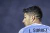 20220720 Suárez
