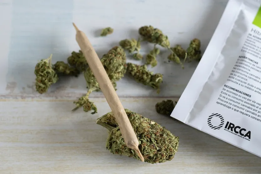 20260427 cannabis