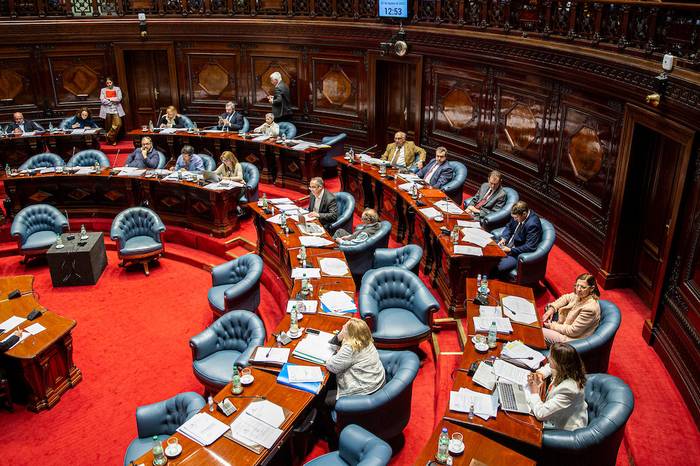Sesión de la Cámara de Senadores, en el Palacio Legislativo (archivo, agosto de 2022). · Foto: Mauricio Zina, adhocfotos