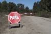 20220811 colonia p platero
