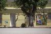 Lento 119 - 25 murales 09