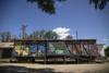 Lento 119 - 25 murales 12
