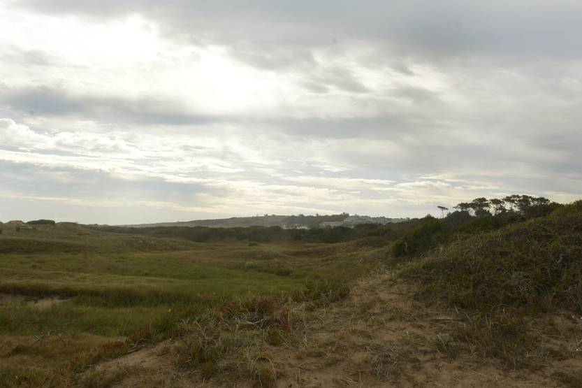 20230117 Punta Ballena