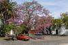 20230412 Colonia